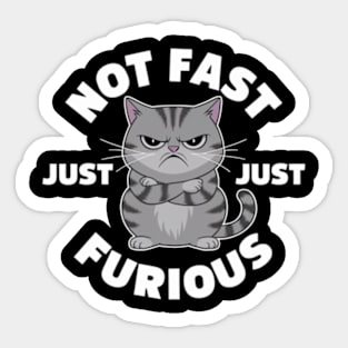 The image features a grumpy-looking cat with the text “NOT FAST JUST FURIOUS” surrounding it (3) Sticker